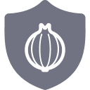 Dark Web VPN
