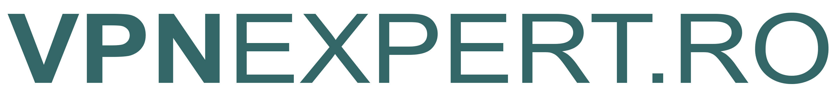 VPN TOPP Logo